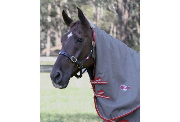 Zilco Garrison Neck Rug