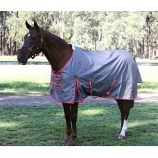 Zilco Garrison Rug