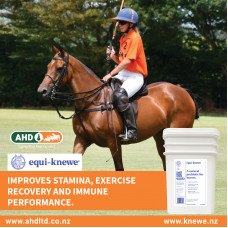 AHD Equi-Knewe