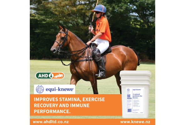 AHD Equi-Knewe