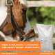 AHD Equi-Knewe