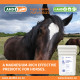AHD Equi-Knewe
