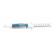 Cale Gastro-30ml Syringe