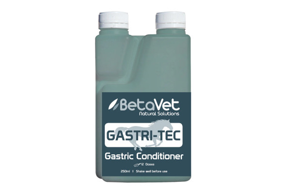 BetaVet Gastritec