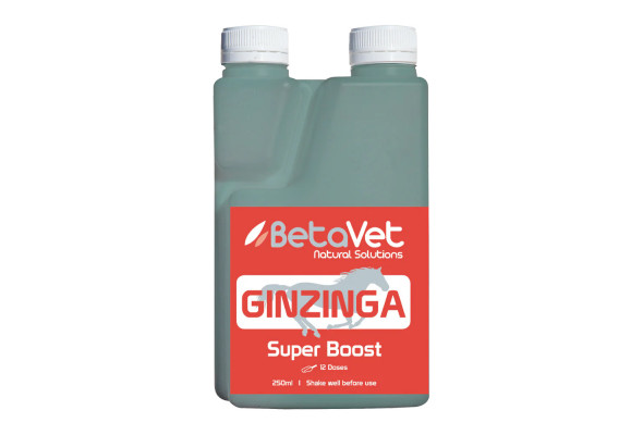 BetaVet Ginzinga
