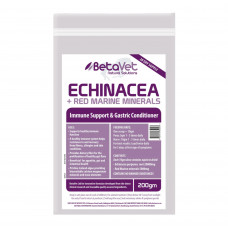 BetaVet Echinacea