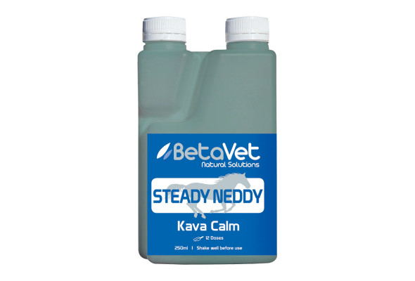 BetaVet Steady Neddy
