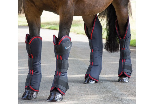 Shires ARMA Travel Boots