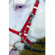 Stride Deluxe Endurance B Plate