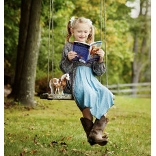 Breyer Misty & Stormy Model & Book Set