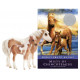 Breyer Misty & Stormy Model & Book Set