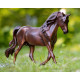 Breyer MorganQuest Native Sun