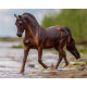 Breyer MorganQuest Native Sun