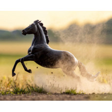Breyer Amberly Snyder's Barrel Racer