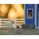 Breyer Farms Home at the Barn Playset