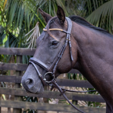 DP Artern Golden Chain Bridle