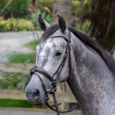 DP Bonn Braided Bridle