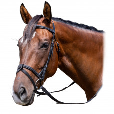 English Bridles (35)