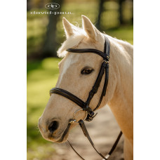 English Bridles and Acc (29)