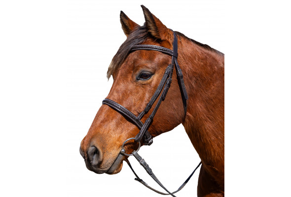 Enzo Ashfield Braided Bridle