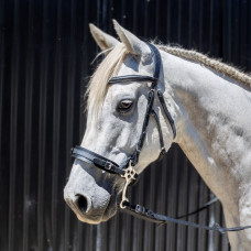 Enzo Cento Hackamore Bridle