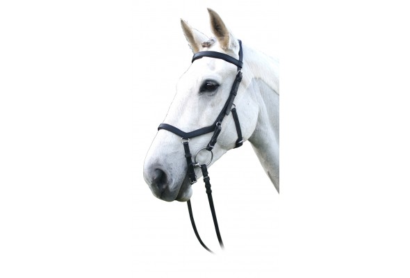 Enzo Competition Bridle