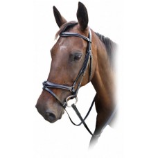 Enzo Comfort + Bridle