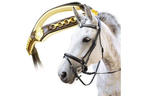 Enzo Crest Bridle