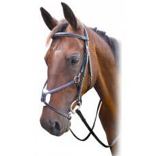 Enzo Grackle Bridle