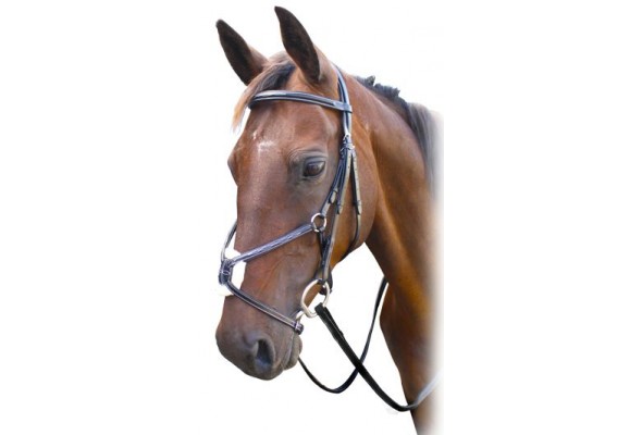 Enzo Grackle Bridle