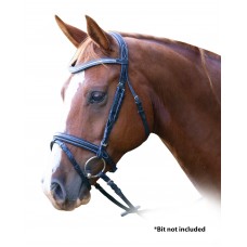Enzo Grace Bridle