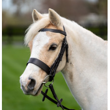 Enzo Hunt Wide Bridle