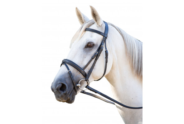 Enzo Laced Bridle