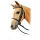 Enzo Mini Show Bridle w/Rein