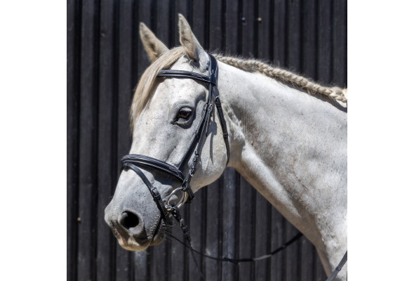 Enzo Nola Bridle