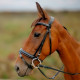 Enzo Nola Bridle