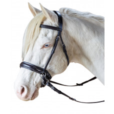 Enzo Raised Bitless Bridle