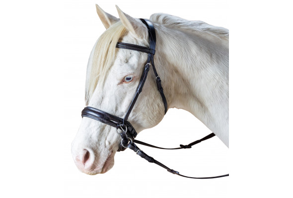 Enzo Raised Bitless Bridle
