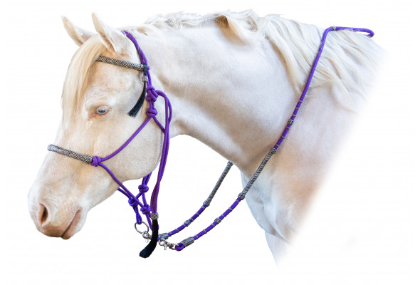 Enzo Rope Bridle w/Reins Enzo Rope Bridle w/Reins
