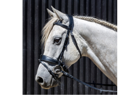 Enzo Sorrento Bridle