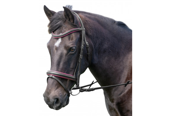 Enzo Xena Bridle