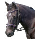 Enzo Xena Bridle