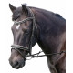 Enzo Xena Bridle
