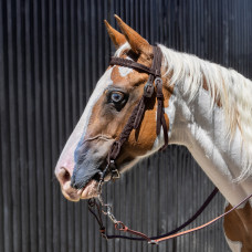 Origin Nina Braided Headstall