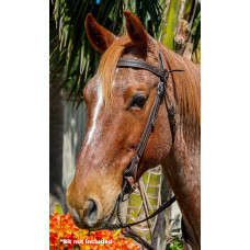 Origin Calgary Western Bridle