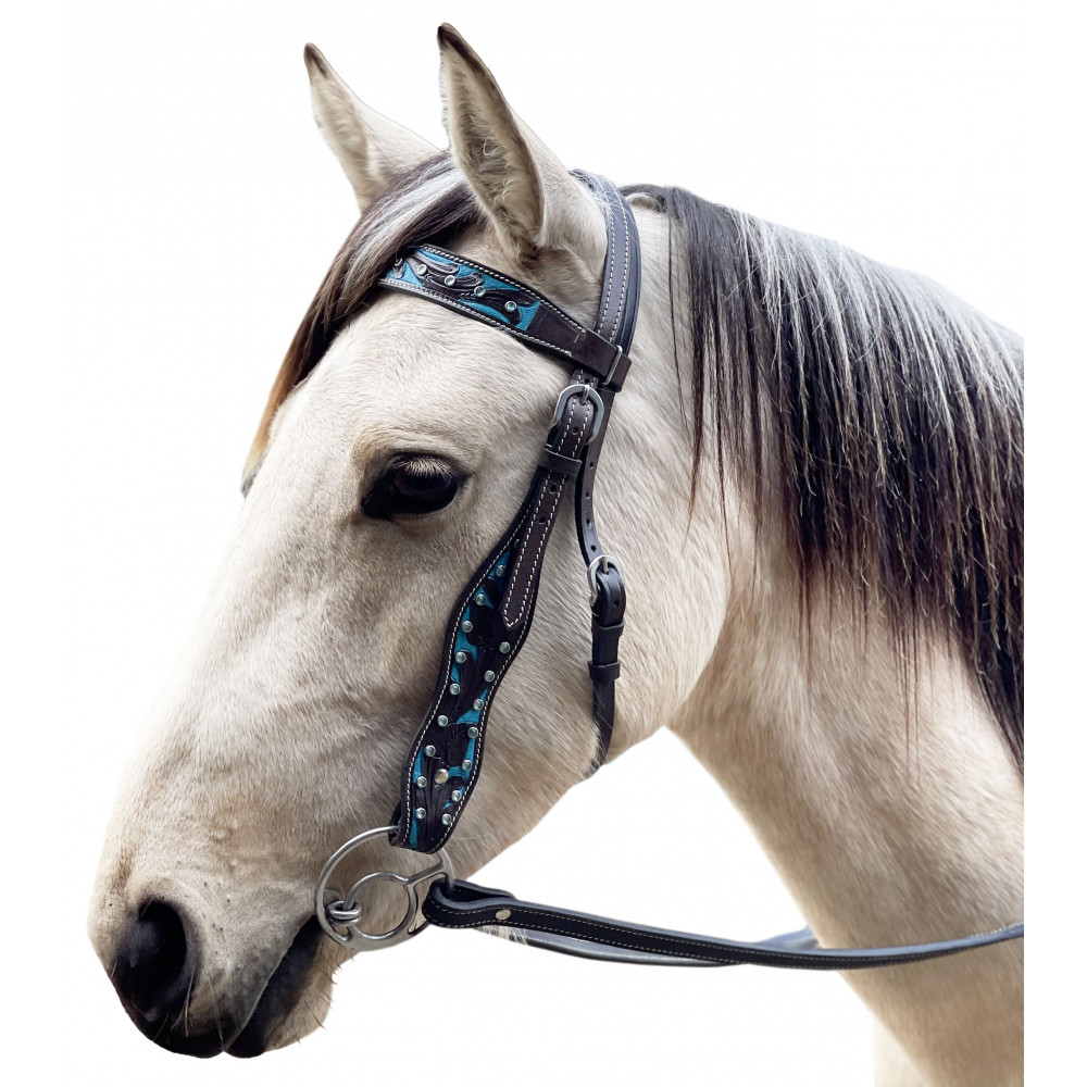 Western bridle online