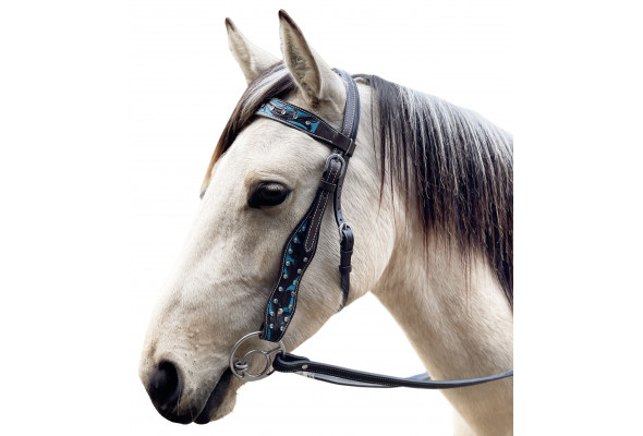 Origin Cody Western Bridle
