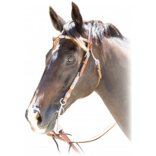 Origin A1 Western Rawhide Bridle