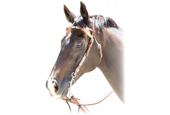 Origin A1 Western Rawhide Bridle