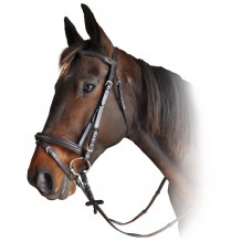 Prima Classic Stitched Bridle